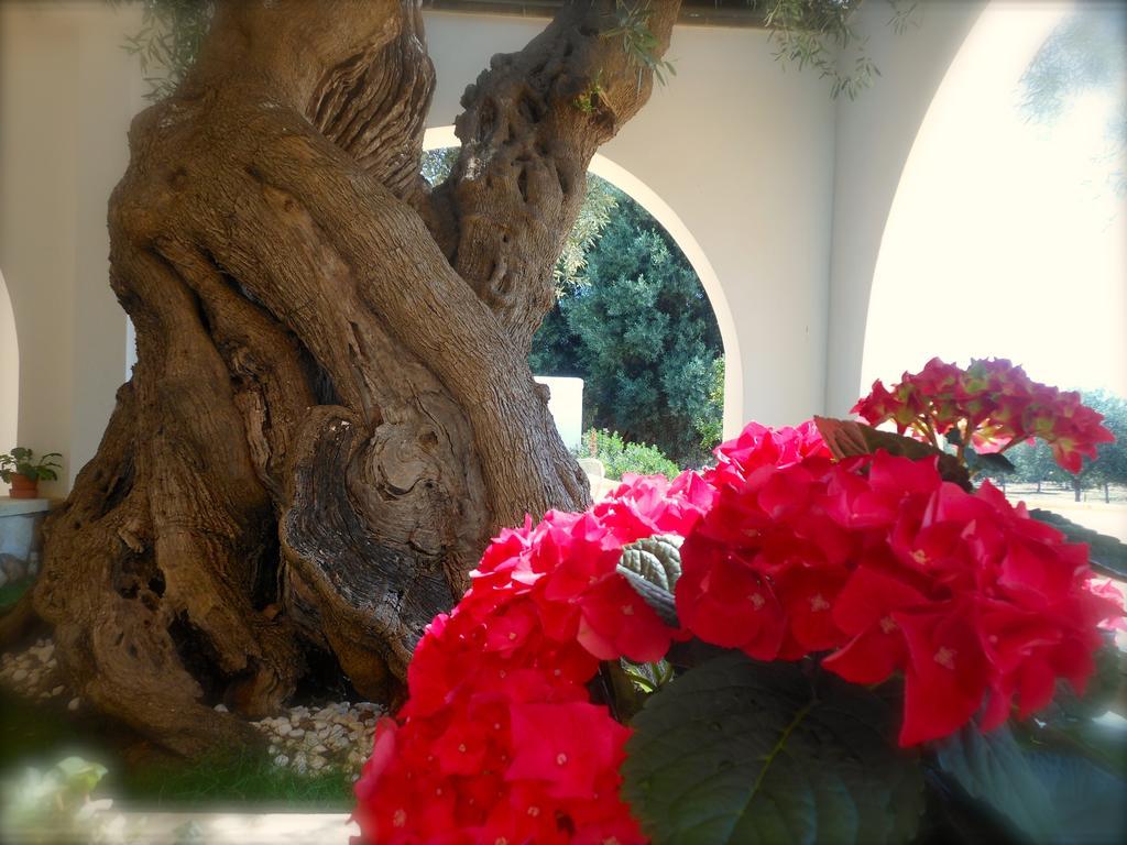 L'Ulivo Bed And Breakfast Savelletri Exteriér fotografie
