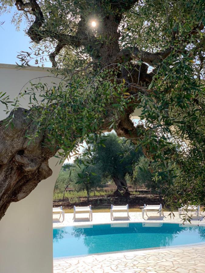 L'Ulivo Bed And Breakfast Savelletri Exteriér fotografie